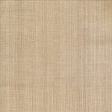 Genghis Sandstone by Kasmir Fabric 1378 89% Viscose 11% Silk INDIA 15,000 Wyzenbeek Double Rubs H: N/A, V: N/A 54 - Fabric Carolina - Kasmir