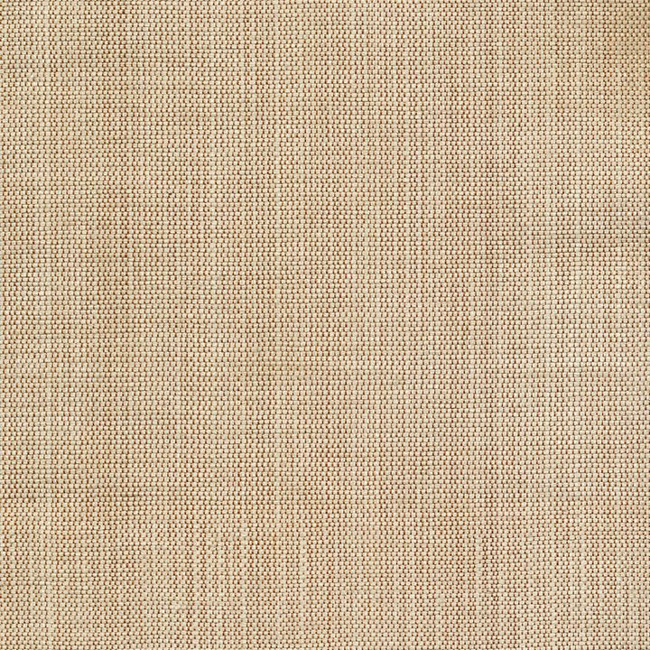 Genghis Sandstone  by Kasmir Fabric See sample 89% Viscose
11% Silk
 INDIA 15,000 Wyzenbeek Double Rubs </p><p>Repeat: Horizontal: N/A and Vertical: N/A 54  - Fabric Carolina -