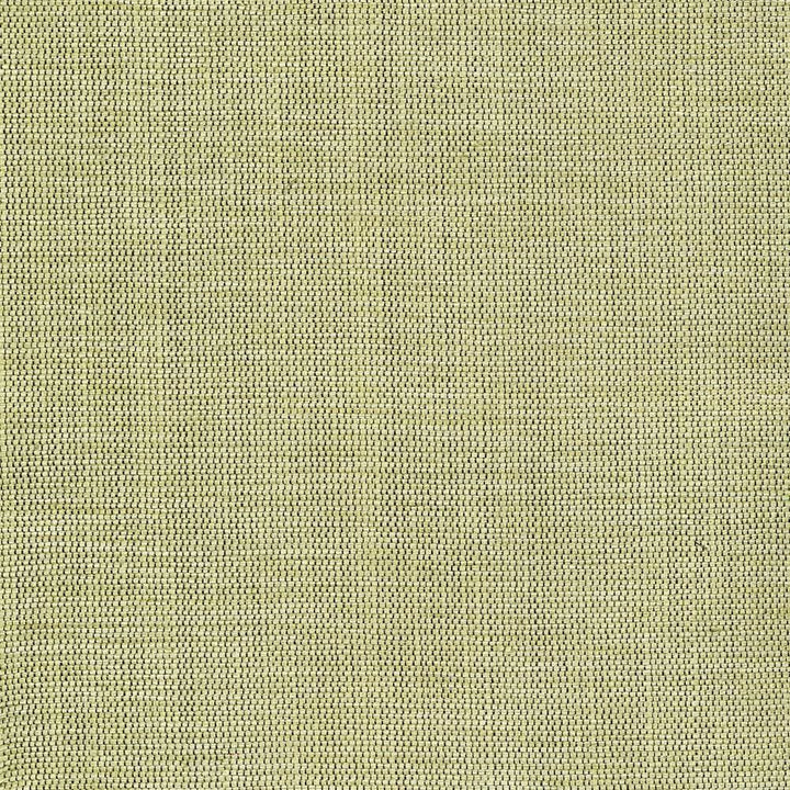 Genghis Seaglass by Kasmir Fabric 1378 89% Viscose
11% Silk
 INDIA </p><p>Repeat: Horizontal: N/A and Vertical: N/A 54 - Fabric Carolina -