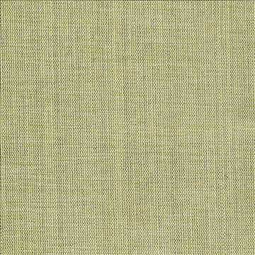 Genghis Seaglass by Kasmir Fabric 1378 89% Viscose 11% Silk INDIA 15,000 Wyzenbeek Double Rubs H: N/A, V: N/A 54 - Fabric Carolina - Kasmir