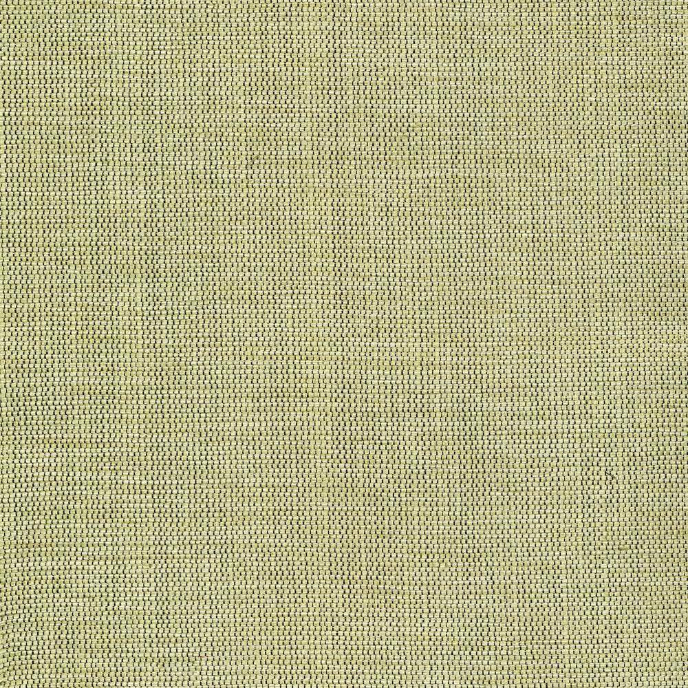 Genghis Seaglass by Kasmir Fabric 1378 89% Viscose 11% Silk INDIA 15,000 Wyzenbeek Double Rubs H: N/A, V:N/A 54 - Fabric Carolina - Kasmir