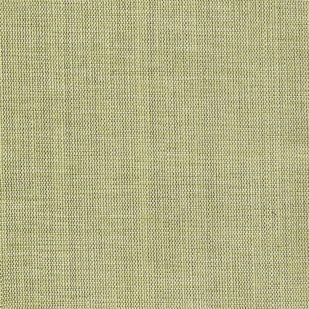Genghis Seaglass  by Kasmir Fabric See sample 89% Viscose
11% Silk
 INDIA 15,000 Wyzenbeek Double Rubs </p><p>Repeat: Horizontal: N/A and Vertical: N/A 54  - Fabric Carolina -