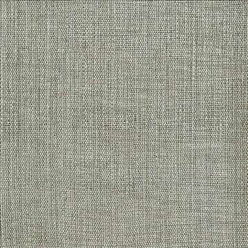 Genghis Shadow by Kasmir Fabric 1378 89% Viscose 11% Silk INDIA 15,000 Wyzenbeek Double Rubs H: N/A, V: N/A 54 - Fabric Carolina - Kasmir
