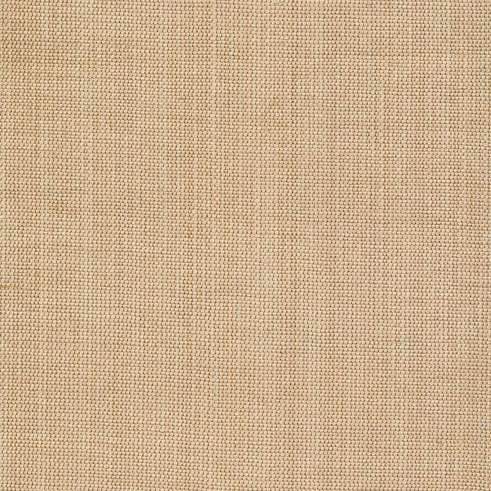 Genghis Tussah by Kasmir Fabric 1378 89% Viscose 11% Silk INDIA 15,000 Wyzenbeek Double Rubs H: N/A, V:N/A 54 - Fabric Carolina - Kasmir