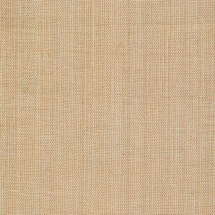 Genghis Tussah by Kasmir Fabric 1378 89% Viscose 11% Silk INDIA 15,000 Wyzenbeek Double Rubs H: N/A, V:N/A 54 - Fabric Carolina - Kasmir