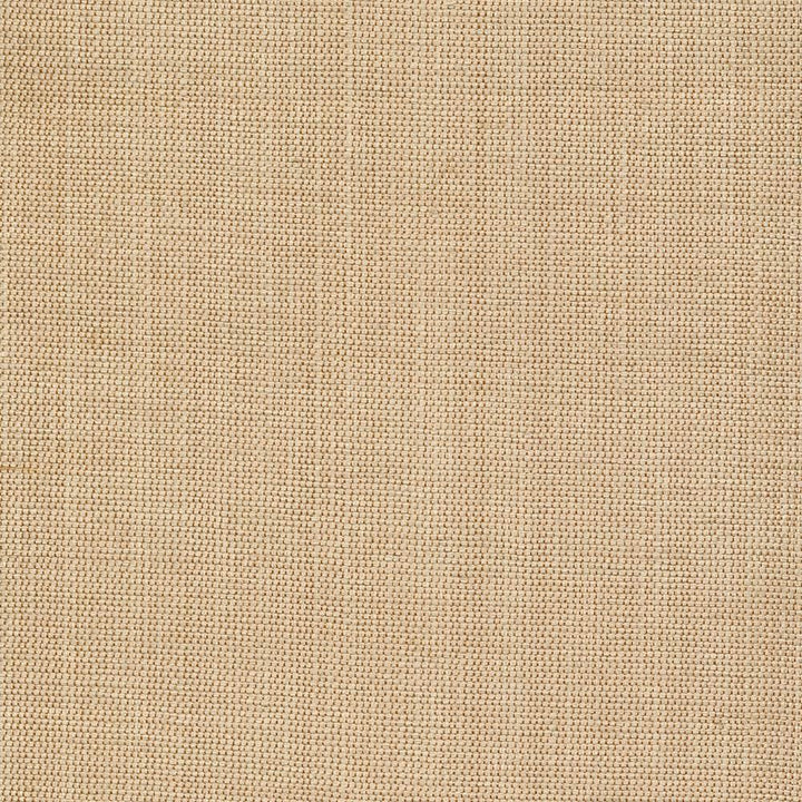 Genghis Tussah by Kasmir Fabric 1378 89% Viscose
11% Silk
 INDIA 15,000 Wyzenbeek Double Rubs </p><p>Repeat: Horizontal: N/A and Vertical: N/A 54 - Fabric Carolina -