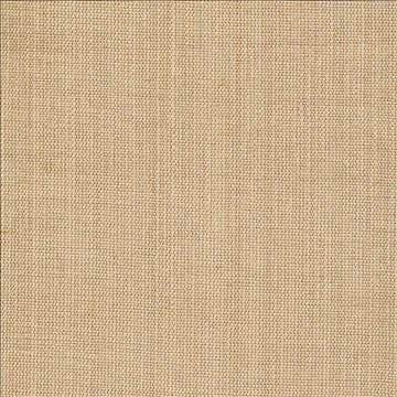 Genghis Tussah by Kasmir Fabric 1378 89% Viscose 11% Silk INDIA 15,000 Wyzenbeek Double Rubs H: N/A, V: N/A 54 - Fabric Carolina - Kasmir