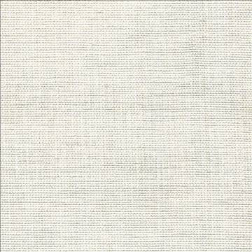 Genghis White by Kasmir Fabric 1378 89% Viscose 11% Silk INDIA 15,000 Wyzenbeek Double Rubs H: N/A, V: N/A 54 - Fabric Carolina - Kasmir