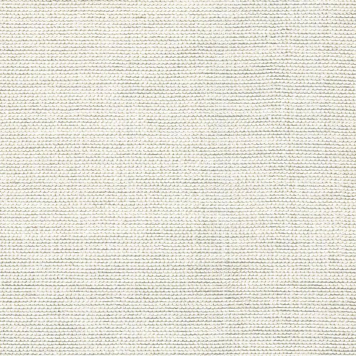Genghis White by Kasmir Fabric 1378 89% Viscose 11% Silk INDIA 15,000 Wyzenbeek Double Rubs H: N/A, V:N/A 54 - Fabric Carolina - Kasmir