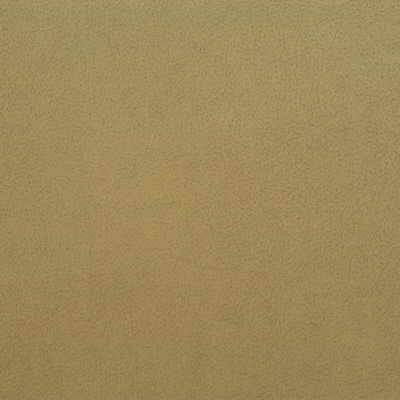Kravet Design Genslar-116 by Kravet Design Fabric