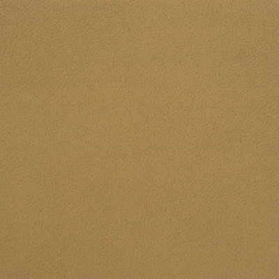 Kravet Design Genslar-16 by Kravet Design Fabric