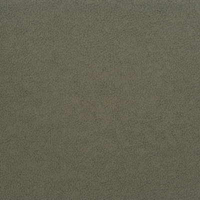Kravet Design Genslar-21 by Kravet Design Fabric