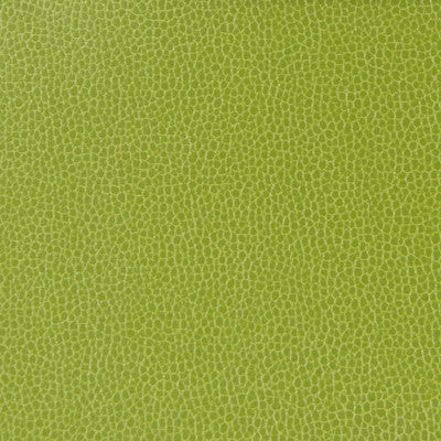 Kravet Design Gillian-113 by Kravet Design Fabric