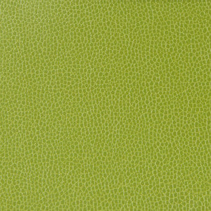 Kravet Design Gillian-113 by Kravet Design Fabric