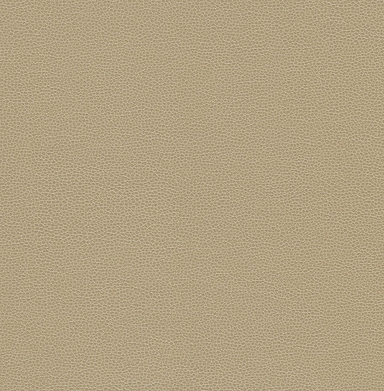 Kravet Design Gillian-116 by Kravet Design Fabric
