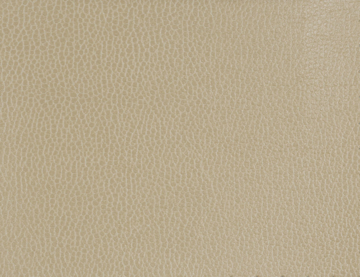 Kravet Design Gillian-1616 by Kravet Design Fabric