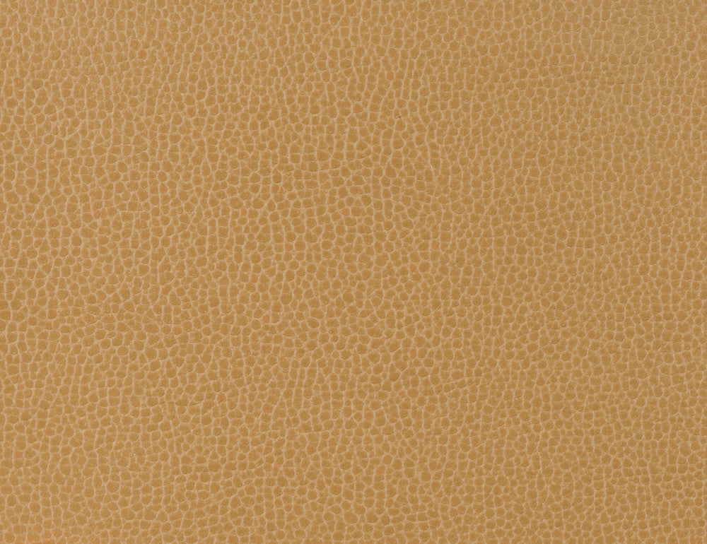 Gillian-16 by Kravet Design Fabric