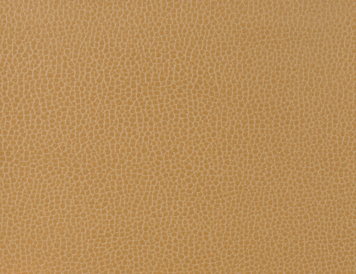Gillian-16 by Kravet Design Fabric
