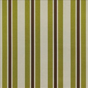 Glamour Stripe Lime by Kasmir Fabric 1400 59% Cotton 41% Polyester INDIA 50,000 Wyzenbeek Double Rubs H: 4 4/8 inches, V: N/A 57 - Fabric Carolina - Kasmir