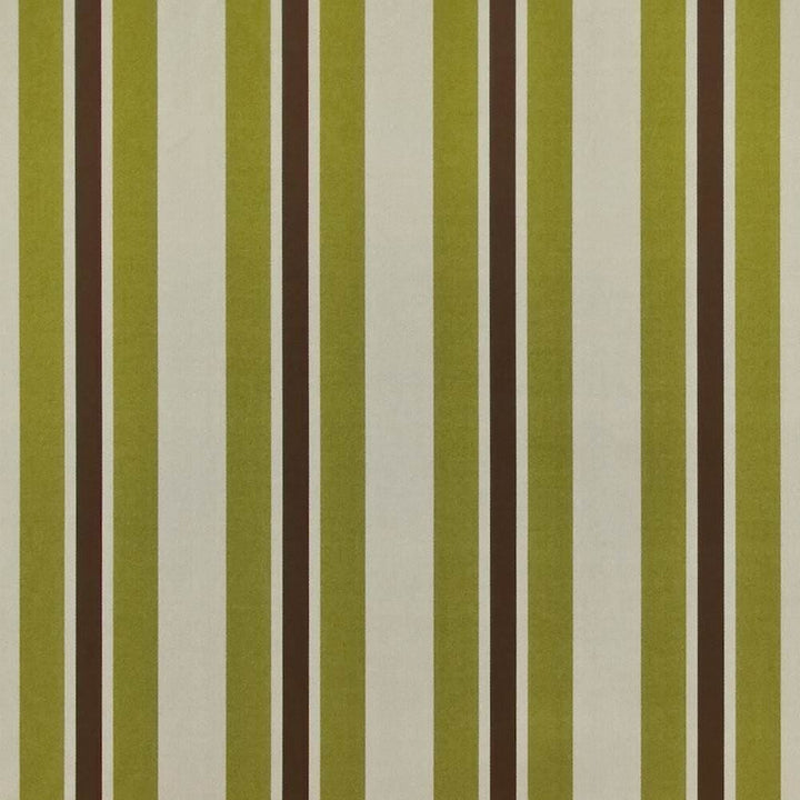 Glamour Stripe Lime by Kasmir Fabric 1400 59% Cotton 41% Polyester INDIA 50,000 Wyzenbeek Double Rubs Horizontal: 4 4/8 inches and Vertical: 0 Inches 57 - Fabric Carolina -