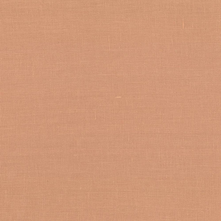 Glocca Morra Clay by Kasmir Fabric 5043 100% Linen RUSSIA 12,000 Wyzenbeek Double Rubs H: N/A, V:N/A 54 - 57 - Fabric Carolina - Kasmir