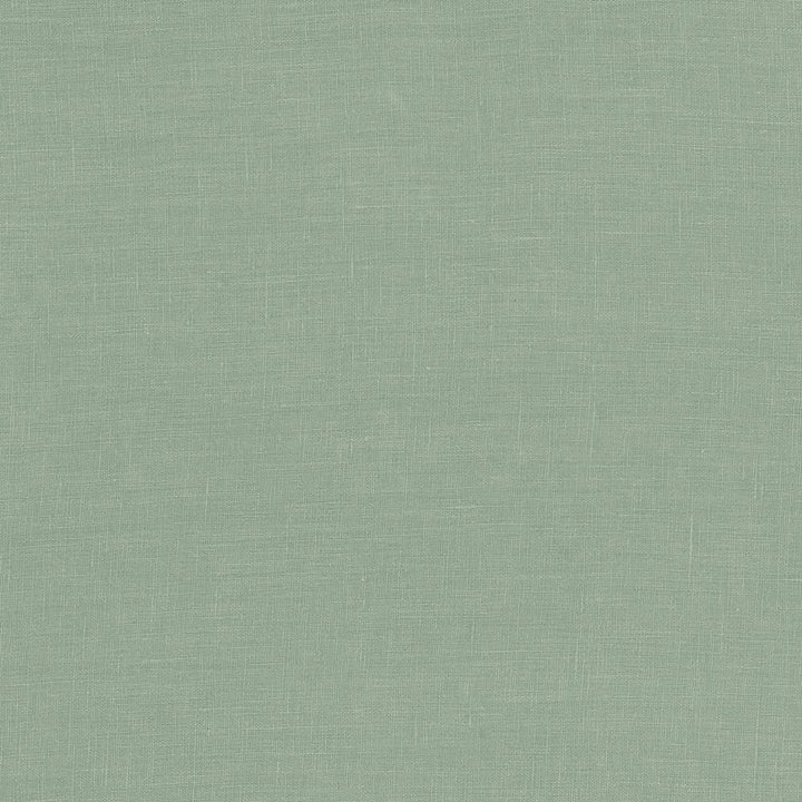 Glocca Morra Eucalyptus by Kasmir Fabric 5043 100% Linen RUSSIA 12,000 Wyzenbeek Double Rubs H: N/A, V:N/A 54 - 57 - Fabric Carolina - Kasmir