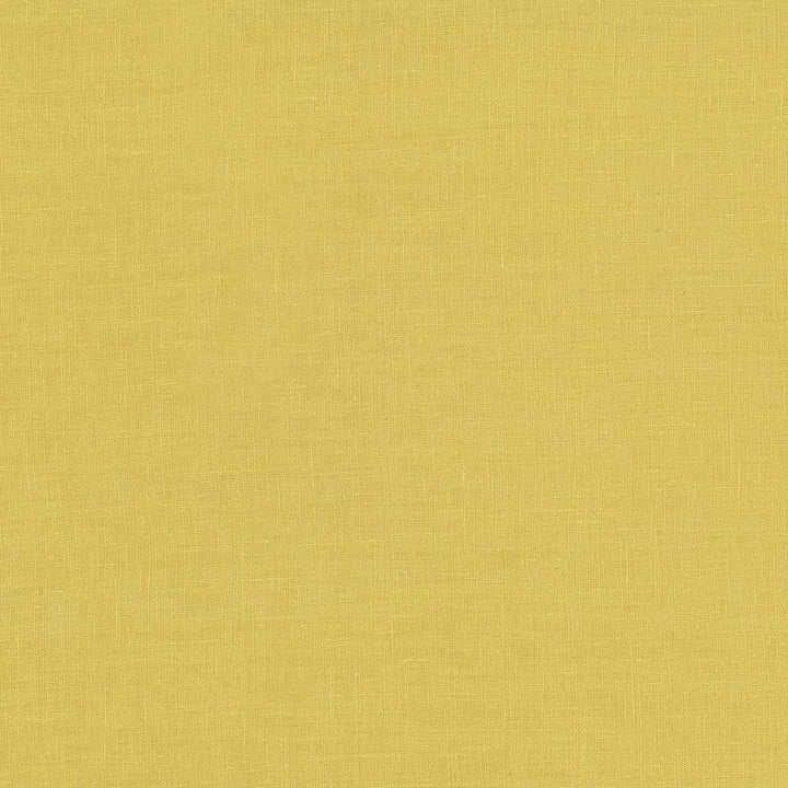 Glocca Morra Gold by Kasmir Fabric 5043 100% Linen
 RUSSIA 12,000 Wyzenbeek Double Rubs Horizontal: N/A and Vertical: N/A 54 - Fabric Carolina -