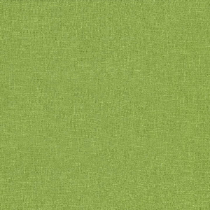 Glocca Morra Grass  by Kasmir Fabric See sample 100% Linen
 RUSSIA 12,000 Wyzenbeek Double Rubs </p><p>Repeat: Horizontal: N/A and Vertical: N/A 54  - Fabric Carolina -