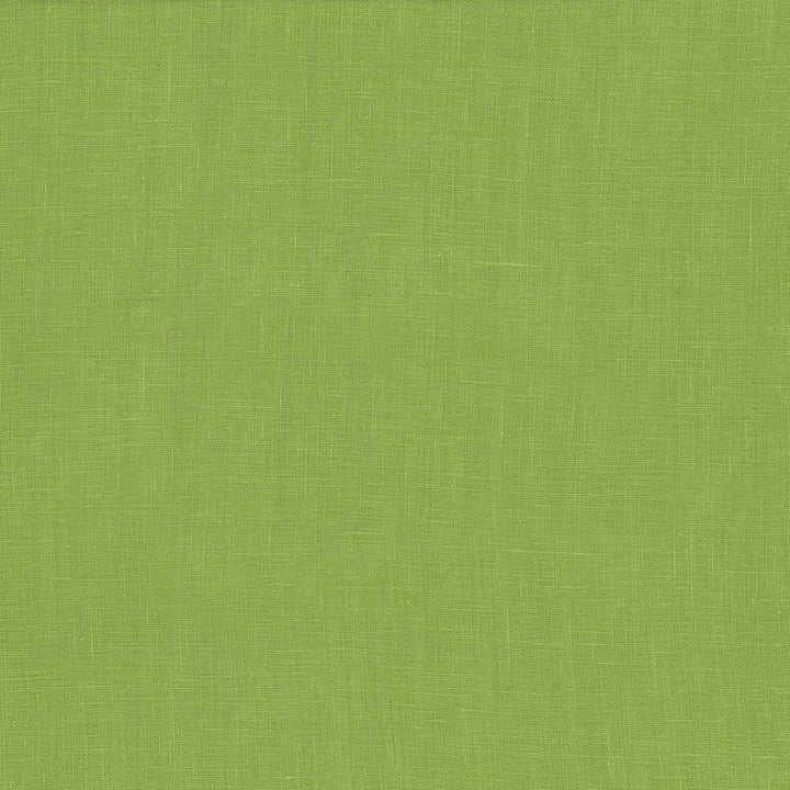 Glocca Morra Grass by Kasmir Fabric 5043 100% Linen RUSSIA 12,000 Wyzenbeek Double Rubs H: N/A, V:N/A 54 - 57 - Fabric Carolina - Kasmir