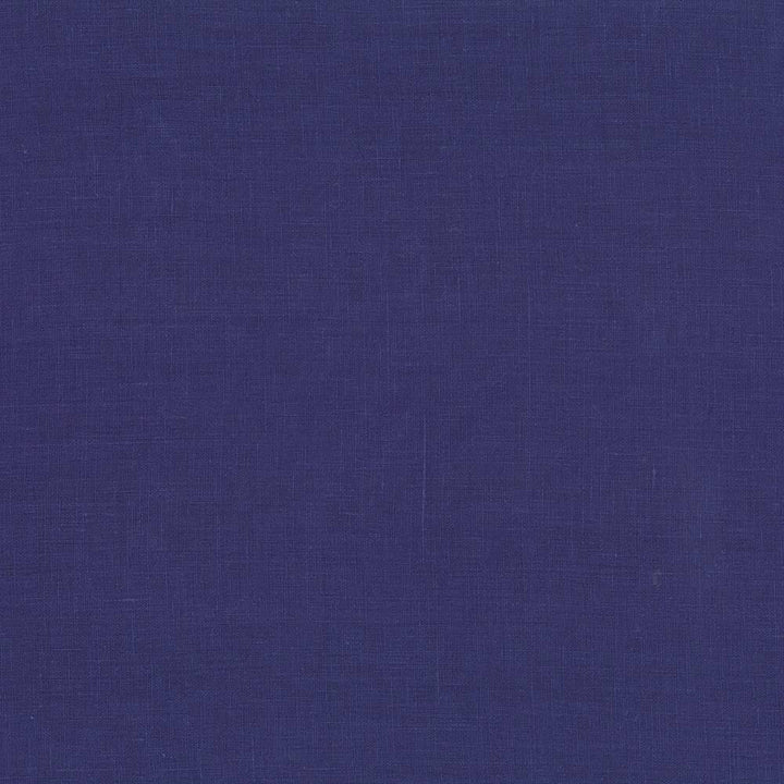 Glocca Morra Purple by Kasmir Fabric 5043 100% Linen RUSSIA 12,000 Wyzenbeek Double Rubs H: N/A, V:N/A 54 - 57 - Fabric Carolina - Kasmir