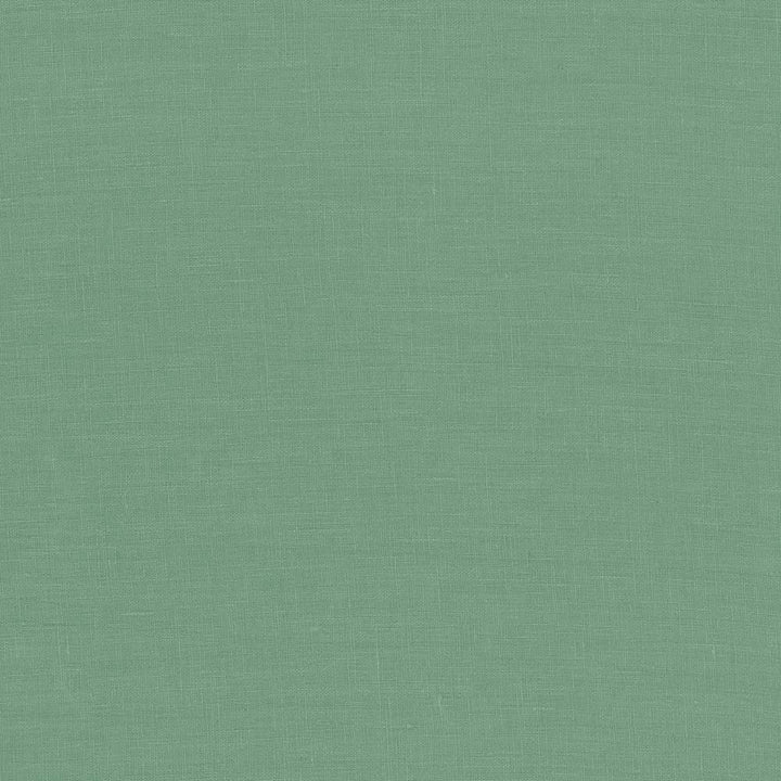 Glocca Morra Sage by Kasmir Fabric 5043 100% Linen RUSSIA 12,000 Wyzenbeek Double Rubs H: N/A, V:N/A 54 - 57 - Fabric Carolina - Kasmir