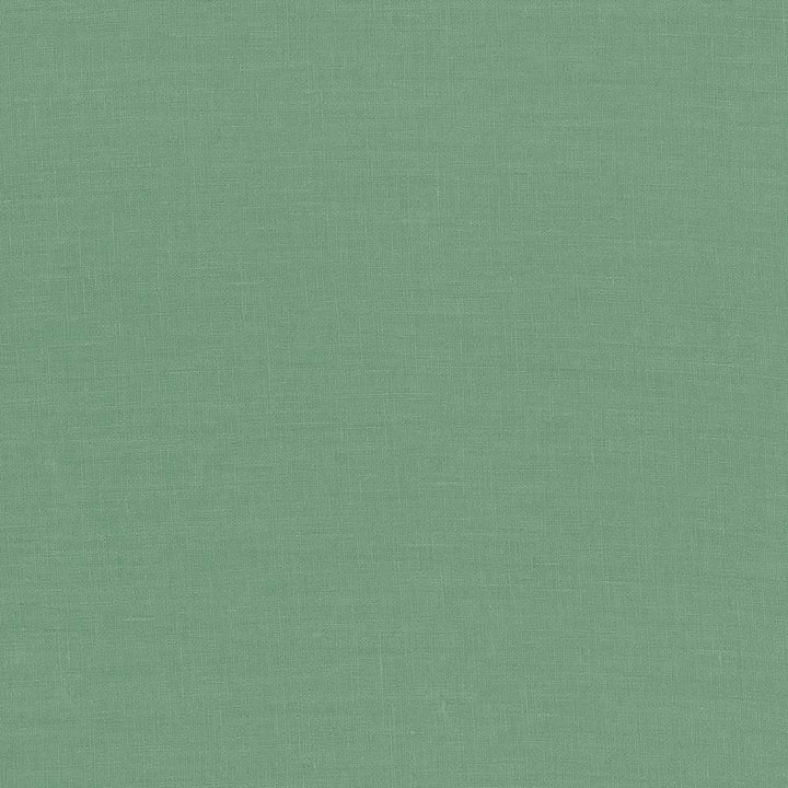 Glocca Morra Sage by Kasmir Fabric 5043 100% Linen
 RUSSIA </p><p>Repeat: Horizontal: N/A and Vertical: N/A 54 - 57 - Fabric Carolina -