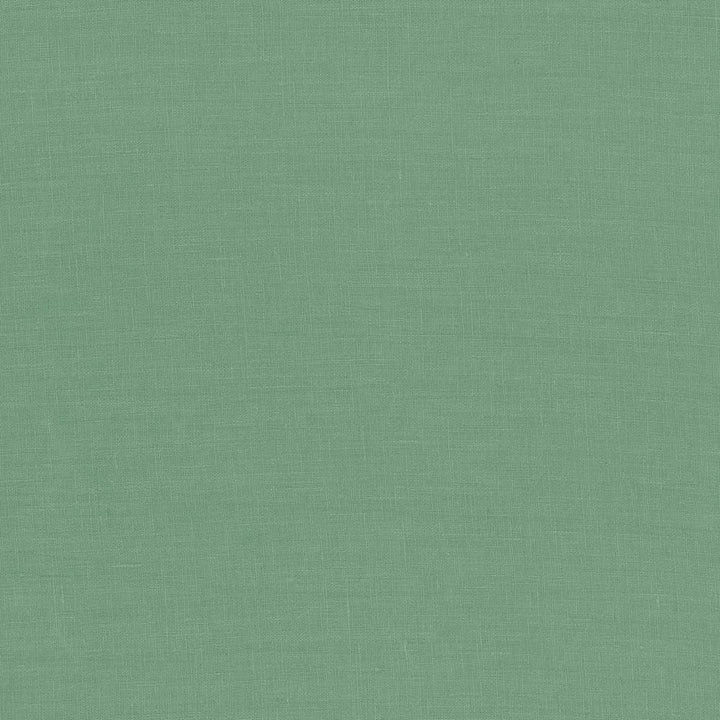 Glocca Morra Sage by Kasmir Fabric 5043 100% Linen
 RUSSIA </p><p>Repeat: Horizontal: N/A and Vertical: N/A 54 - 57 - Fabric Carolina -