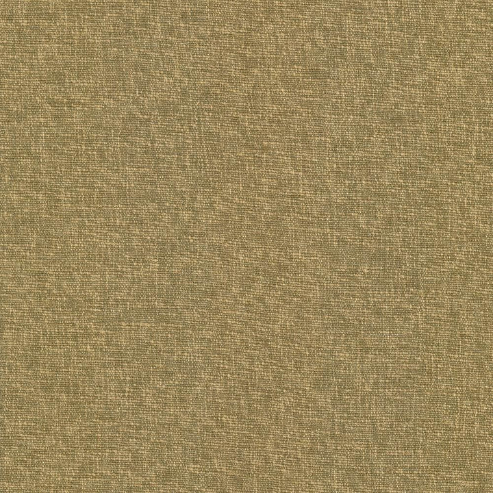 Gobo Butterscotch by Kasmir Fabric 5069 60% Polyester
40% Rayon
 INDIA </p><p>Repeat: Horizontal: N/A and Vertical: N/A 54 - 55 - Fabric Carolina -