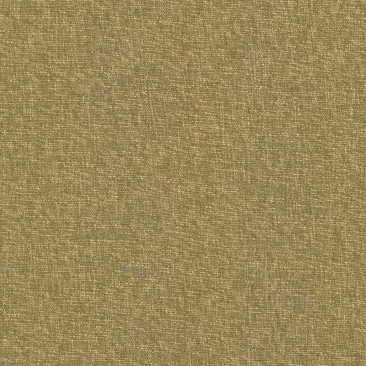 Gobo Butterscotch by Kasmir Fabric 5069 60% Polyester 40% Rayon INDIA 30,000 Wyzenbeek Double Rubs H: N/A, V:N/A 54 - 55 - Fabric Carolina - Kasmir