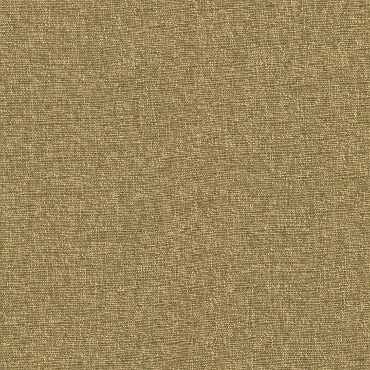 Gobo Butterscotch by Kasmir Fabric 5069 60% Polyester
40% Rayon
 INDIA </p><p>Repeat: Horizontal: N/A and Vertical: N/A 54 - 55 - Fabric Carolina -