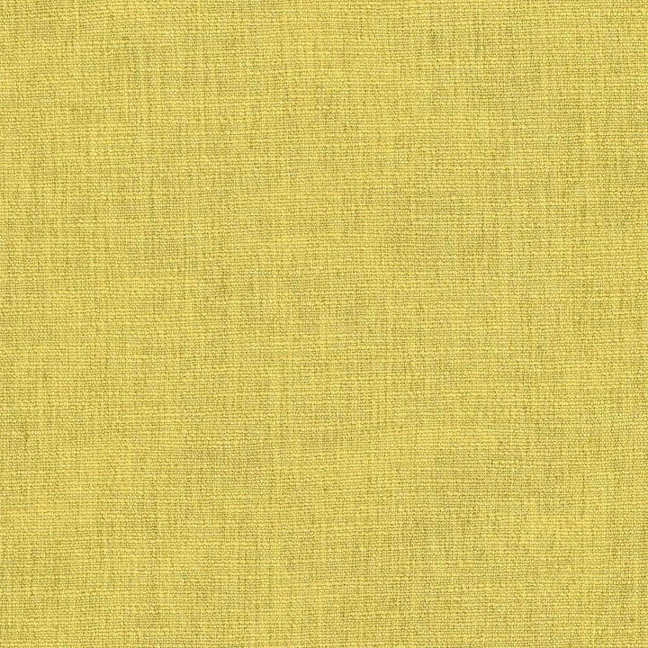 Gobo Citrine by Kasmir Fabric 5074 60% Polyester 40% Rayon INDIA 30,000 Wyzenbeek Double Rubs H: N/A, V:N/A 54 - 55 - Fabric Carolina - Kasmir