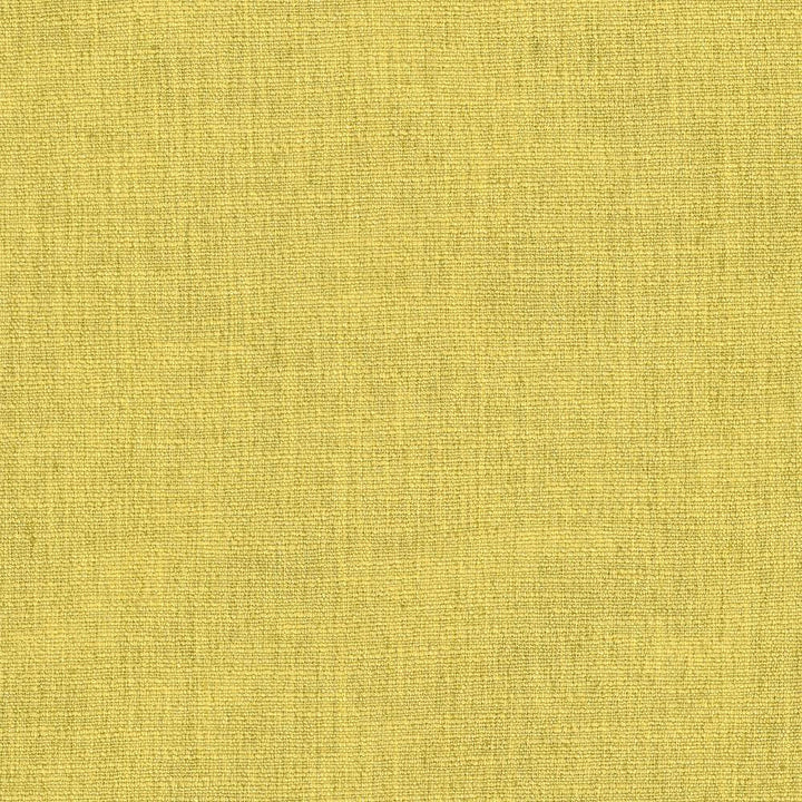 Gobo Citrine by Kasmir Fabric 5074 60% Polyester
40% Rayon
 INDIA </p><p>Repeat: Horizontal: N/A and Vertical: N/A 54 - 55 - Fabric Carolina -