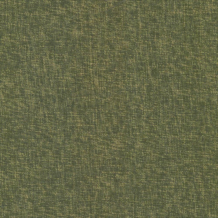 Gobo Forest by Kasmir Fabric 5074 60% Polyester 40% Rayon INDIA 30,000 Wyzenbeek Double Rubs H: N/A, V:N/A 54 - 55 - Fabric Carolina - Kasmir