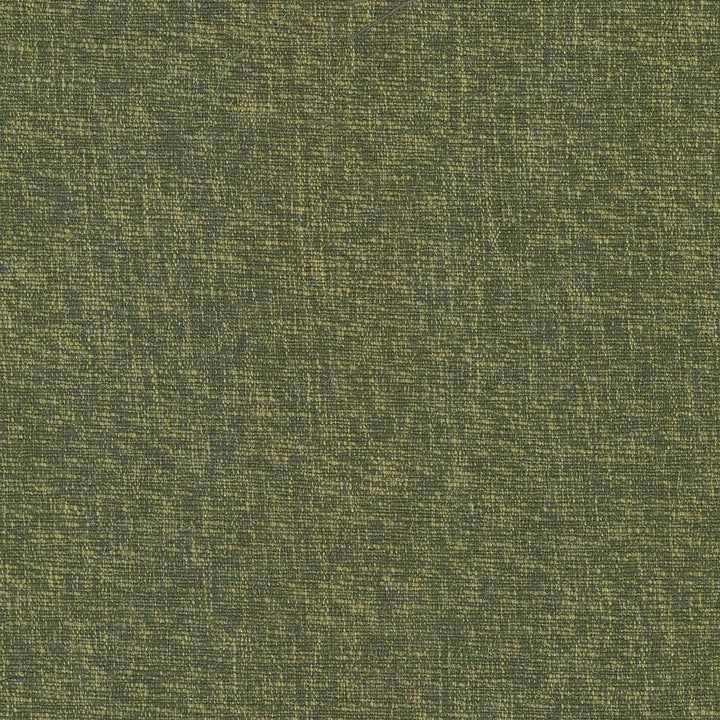 Gobo Forest by Kasmir Fabric 5074 60% Polyester
40% Rayon
 INDIA </p><p>Repeat: Horizontal: N/A and Vertical: N/A 54 - 55 - Fabric Carolina -