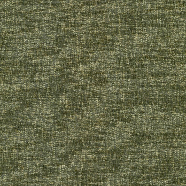 Gobo Forest  by Kasmir Fabric See sample 60% Polyester
40% Rayon
 INDIA 30,000 Wyzenbeek Double Rubs </p><p>Repeat: Horizontal: N/A and Vertical: N/A 54  - Fabric Carolina -