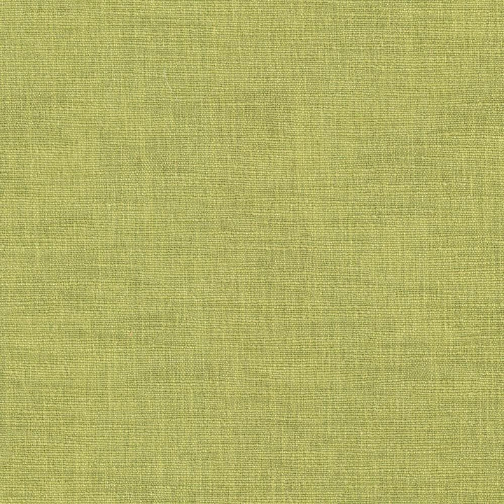 Gobo Kiwi by Kasmir Fabric 5074 60% Polyester
40% Rayon
 INDIA </p><p>Repeat: Horizontal: N/A and Vertical: N/A 54 - 55 - Fabric Carolina -