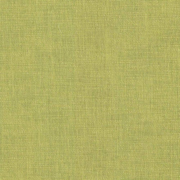 Gobo Kiwi by Kasmir Fabric 5074 60% Polyester 40% Rayon INDIA 30,000 Wyzenbeek Double Rubs H: N/A, V:N/A 54 - 55 - Fabric Carolina - Kasmir