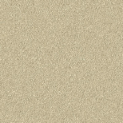 Kravet Design Grana-1116 by Kravet Design Fabric