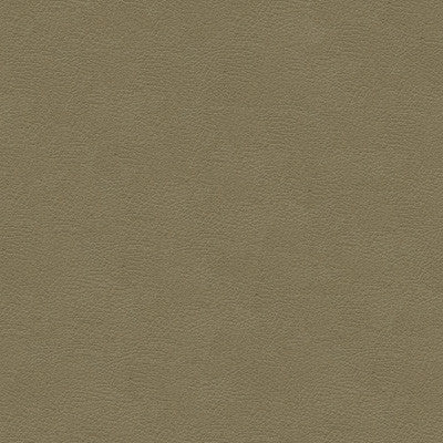 Kravet Design Grana-11 by Kravet Design Fabric