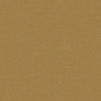 Kravet Design Grana-1616 by Kravet Design Fabric
