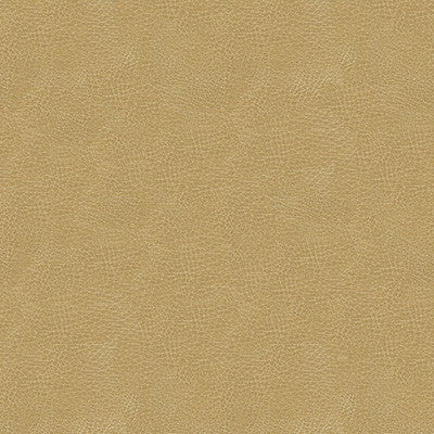 Kravet Design Grana-16 by Kravet Design Fabric