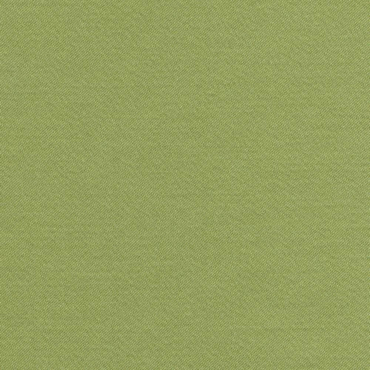 Grand Soiree Apple by Kasmir Fabric 1381 60% Polyester
40% Cotton
 INDIA 60,000 Wyzenbeek Double Rubs Horizontal: N/A and Vertical: N/A 54 - Fabric Carolina -