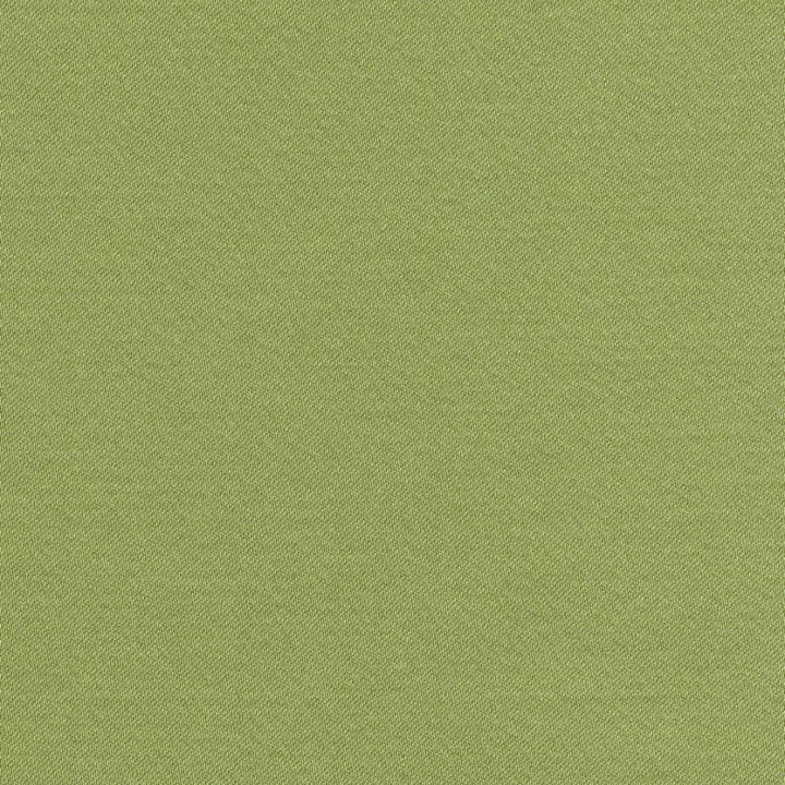 Grand Soiree Apple by Kasmir Fabric 1381 60% Polyester 40% Cotton INDIA 60,000 Wyzenbeek Double Rubs H: N/A, V:N/A 54 - 55 - Fabric Carolina - Kasmir