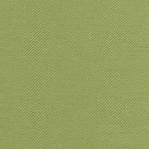 Grand Soiree Apple by Kasmir Fabric